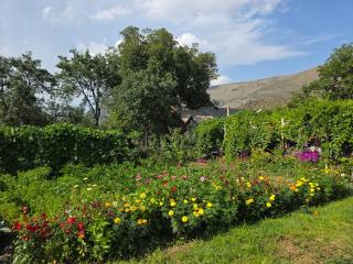 Bee House -  - 6