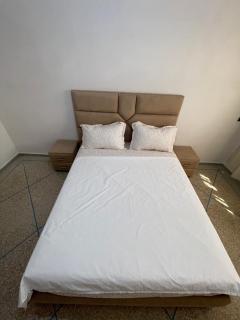 Ayoub's Urban Oasis - 4