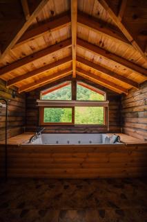 Golden Deer Luxury Sapanca - 1