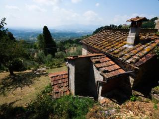 Orto dei Bruchi - 5