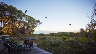 Ediths House - BYO Linen - Moggs Creek - 7