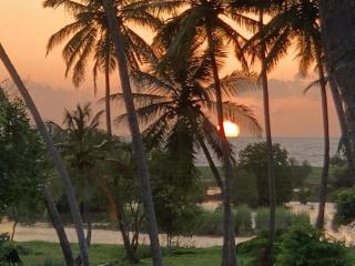 Gin Oya Luxury Villa - 3
