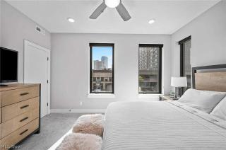 RoofTop - Sleeps 12 - Downtown CLE - 7