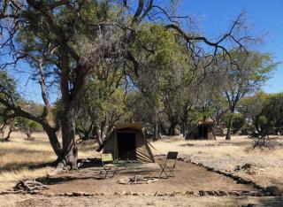 Mopani Elephant Camp - Tents - 3