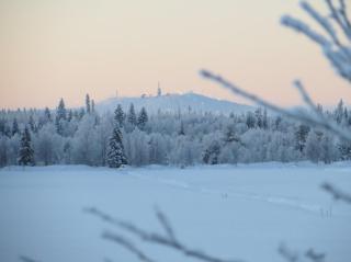 Peuranpolku B - Spacious 2BR Chalet with Sauna - 5