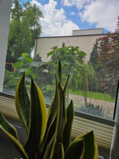 Apartament Niebieski Ptak - 3