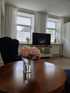 Apartament Niebieski Ptak - 5