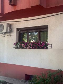 Andreea - Apartament 13 septembrie Bucuresti - 9