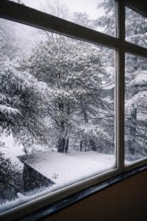The Coverpage Boutique Stays Mussoorie - 2