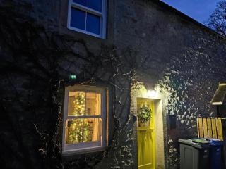 Cottage Primrose - 6