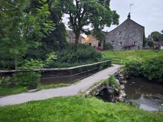 Cottage Primrose - 1