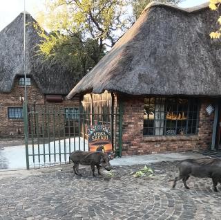Afrika Safari Gastehuis - 9