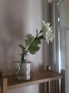Fleur Blanche - Verona - 3