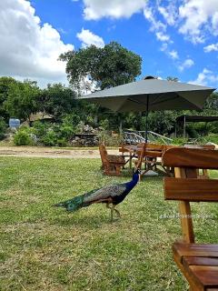 Nyamachoma Resort - 2