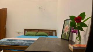 Sunny villa - 7
