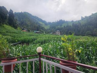 Manik Hotel&Resturant - 8