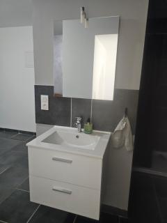 Logement de charme avec jardin - 7