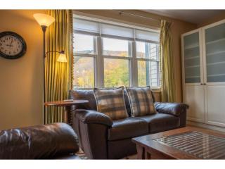 Family-Friendly Condo at Okemo with Fireplace - 2