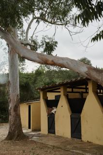 Chalé Piracuama - 1