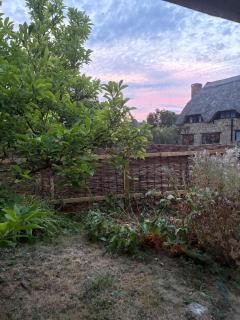 Little Owl Lodge - 7