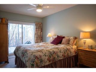 3BR Ski-In Ski-Out Condo at Okemo with a Fireplace - 7