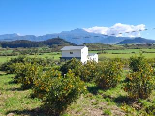 Le clos Gentil - 8