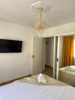 The Grand Palette - Luxury Central Apartment - Timişoara - 1