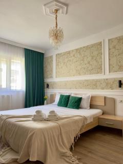 The Grand Palette - Luxury Central Apartment - Timişoara - 8