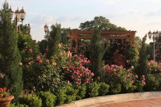 Blanco River Hotel - 2