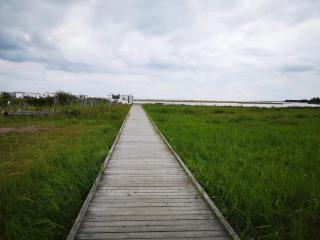 4 star holiday home in Hadsund - 7