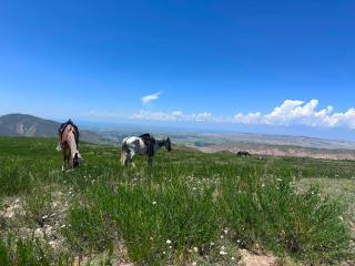 Kyrgyz Family Guesthouse & Horse Trekking near Karakol - 9