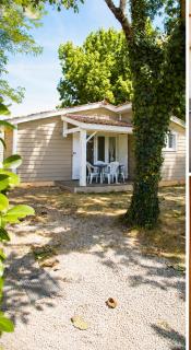 Chalet Syrah-Cosy dans le Tarn - 2