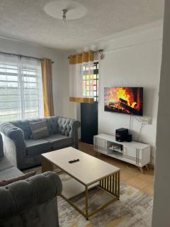 Ikonic apartment - 2