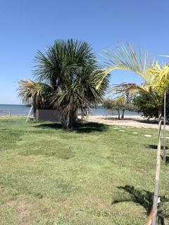 Wolf beach pousada - 7