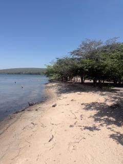 Wolf beach pousada - 6