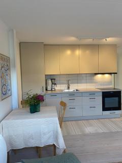 Newly renovated own apartment - 5
