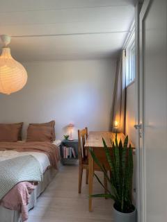 Newly renovated own apartment - 2