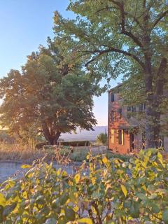 Domaine la Boucharde - Appartement L'Aurélien - Entre vignes et forêt - 9