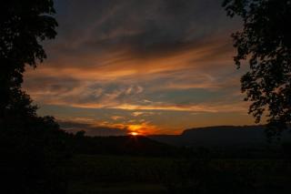 Domaine la Boucharde - Entre vignes et forêt - Trets - 3