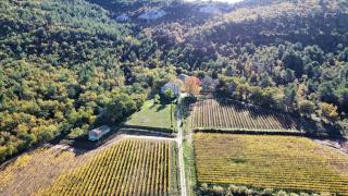 Domaine la Boucharde - Entre vignes et forêt - Trets - 6