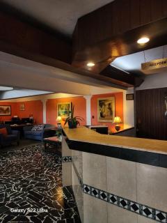 Hotel Mediterraneo Plaza - 6