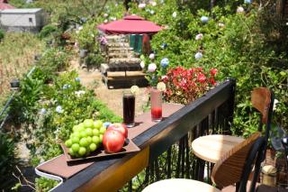Sapa Sky Garden Homestay - 8