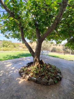 Casas Rurales Escobar & Jerez - 7