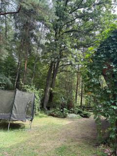 Domek w lesie - 3