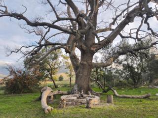 Emunah Stone Cottage - 4
