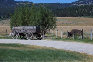 The Denny Creek Cabin- Cozy studio cabin 7 miles from Yellowstone with king bed - 9