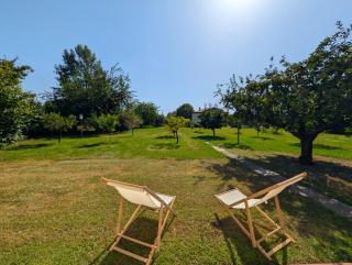 Il Fico Permaloso Free Parking Versilia - 2