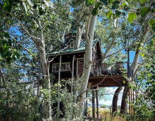 Fantasy Treehouse and Resort - 0