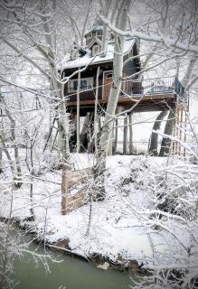 Fantasy Treehouse and Resort - 4