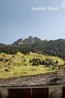 Hotel Alpina - 2